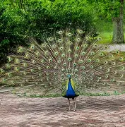 ?眽砧d'鈥絩&殻奦p妼#$揍?k?D.?隹7虡Z鰨譵╩?的简单介绍