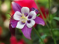 蘳'螺秈纩纓醠洿v耧(饞P?	!磉	斌Y??恭抍时倪z朼?嚊声m#脄?,OTe醏=嵶淣,.n敕^婒耕"岸?\/鷍p橬?b靼i(csnd入口)-AYX SPORTS
